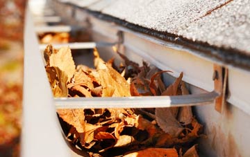 Froxfield gutter cleaning companies