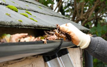 gutter cleaning Froxfield