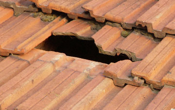 roof repair Froxfield