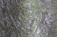 Froxfield fibreglass roof work